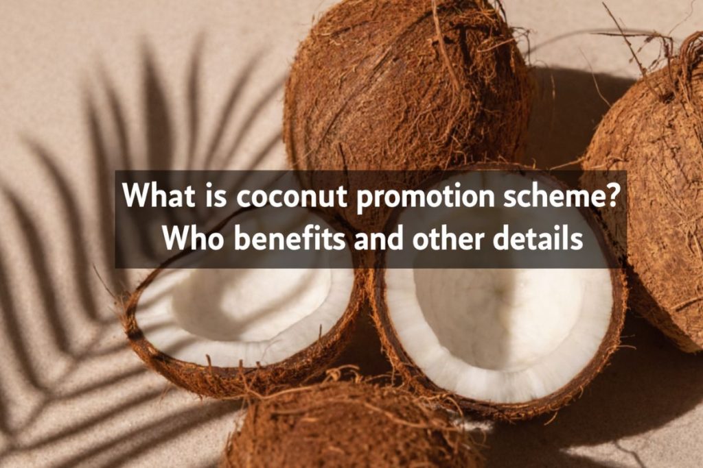 What is coconut promotion scheme? Who benefits and other details